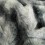Patterned Black Wolf fur throw for sofa chair or bed