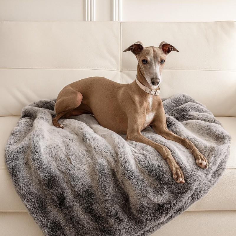 Coperta di lusso in finta pelliccia di koala per cani | Coperta in pelliccia per gatti | Coperte per animali domestici