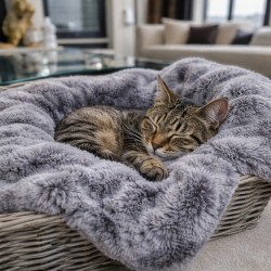 Luxury Koala Faux Fur Pet Blanket | Fur Cat Blanket | Fur Dog Blankets