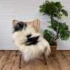 Large Icelandic Sheepskin | Black & White Sheepskin Rug