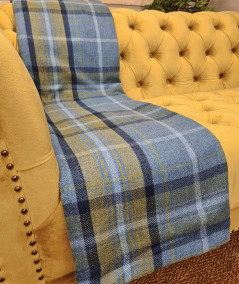 Blue checked blanket