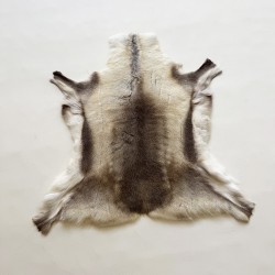 Large Nordic Reindeer Hide Rug | Large Natural Reindeer Skin