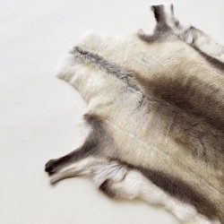 Large Nordic Reindeer Hide Rug | Large Natural Reindeer Skin