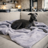 Couverture polaire gris clair pour chien | Couverture polaire pour animaux de compagnie | Couverture polaire pour chien