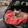 Coral Fleece Dog Blanket | Pink Fleece Pet Blanket | Fleece Dog Blanket