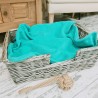 Couverture polaire vert jade pour animaux de compagnie | Couvertures polaires pour chiens | Couverture verte pour chiens