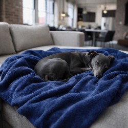 Petrolblauwe Fleece Honden Deken | Fleecy Honden Deken | Blauwe Huisdier Deken